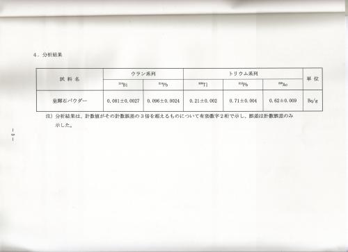 4ページ目・分析結果